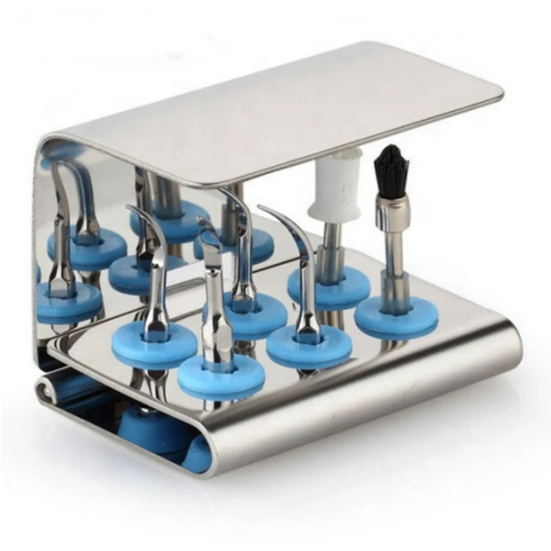 Porta Punte per Ablatore Denta - Autoclave Sterilizer Dental recensione e prezzo
